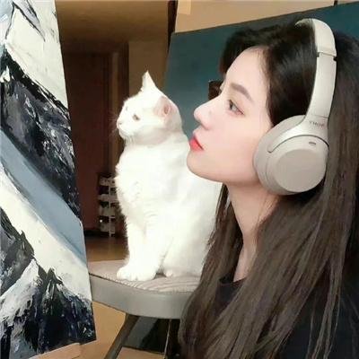 红色康乃馨